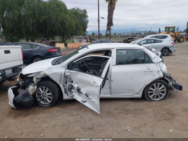 Toyota Corolla Le Image 14
