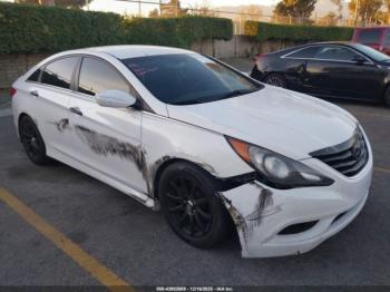  Salvage Hyundai SONATA