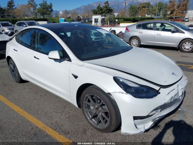 Tesla Model 3 Rear-wheel Drive Image 1