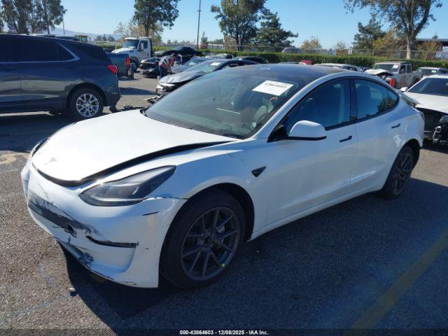 Tesla Model 3 Rear-wheel Drive Image 13