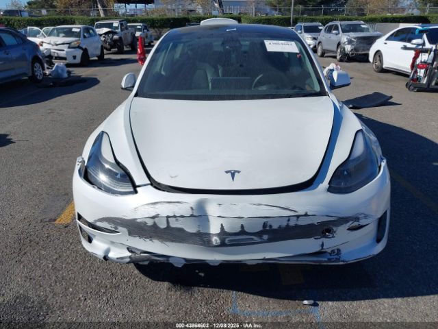 Tesla Model 3 Rear-wheel Drive Image 14